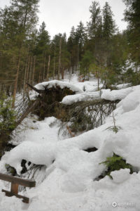 Ferie w górach